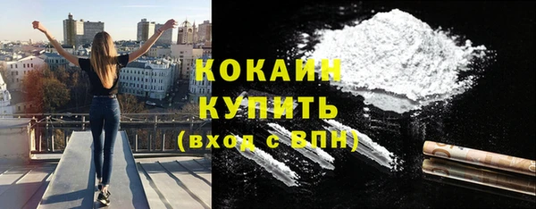 бошки Белокуриха