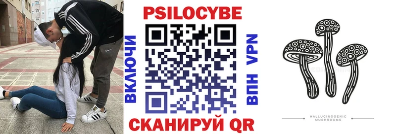 купить наркотик Воркута Псилоцибиновые грибы Cubensis